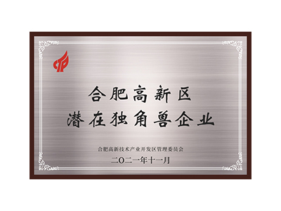 Potenciais empresas unicórnios na zona de alta tecnologia de Hefei